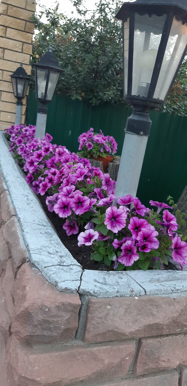 Гостиница Династия Нижний Новгород-92