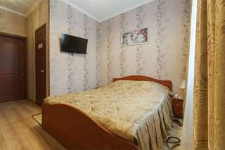 Гостиница Династия Нижний Новгород Стандартный двухместный номер с 1 кроватью-5