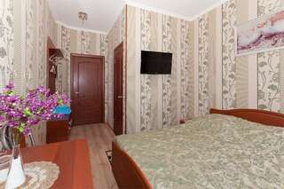 Гостиница Династия Нижний Новгород Стандартный двухместный номер с 1 кроватью-2